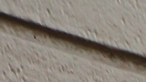 Jessica Viveros, dueña de La Vaquerita Bolis.