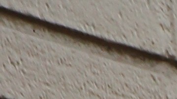 Jessica Viveros, dueña de La Vaquerita Bolis.