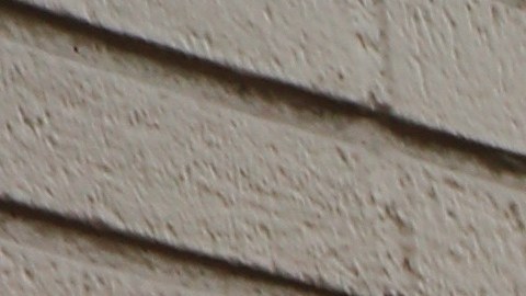 Jessica Viveros, dueña de La Vaquerita Bolis.