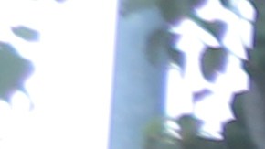 Integrantes del grupo RevCom dicen que dos semanas de prórroga  no garantizan el fin de la guerra en Irán.