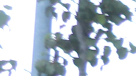 Integrantes del grupo RevCom dicen que dos semanas de prórroga  no garantizan el fin de la guerra en Irán.