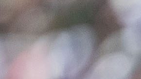 Mateo Chávez ganó su primer título en Europa.