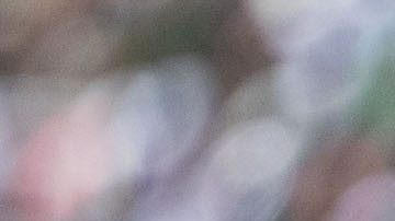 Mateo Chávez ganó su primer título en Europa.