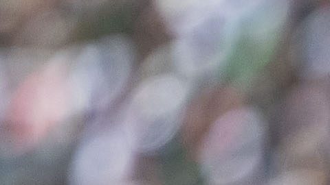 Mateo Chávez ganó su primer título en Europa.