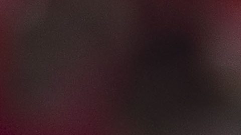 Obed Vargas ha disputado cinco partidos con la selección mexicana.