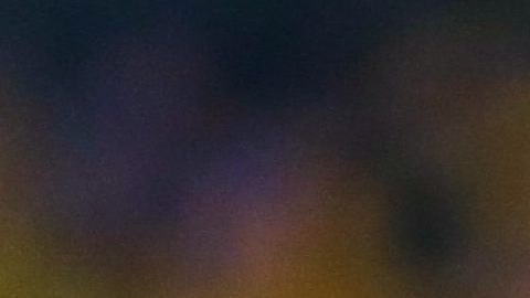 André-Pierre Gignac y Nahuel Guzmán son referentes del conjunto felino.