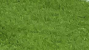 Julián Quiñones pide a gritos ser convocado al Mundial.