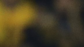 San Nicolás de los Garza, Nuevo León, 8 de abril de 2026. , durante el partido de ida de los Cuartos de Final de la Champions Cup de la CONCACAF 2026, entre los Tigres de la UANL y el Seattle Sounders FC, realizado en el estadio Universitario. Foto: Imago7/ Ricardo A. Rodríguez