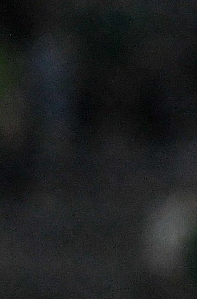 Ciudad Juárez, Chihuahua, 10 de abril de 2026. Madson y Gilberto Mora, durante el partido correspondiente a la jornada 14 del torneo Clausura 2026 de la Liga BBVA MX, entre los Bravos de FC Juárez y los Xolos de Tijuana, realizado en realizado en el estadio Olímpico Benito Juárez. Foto: Imago7/ Alejandro Rodríguez