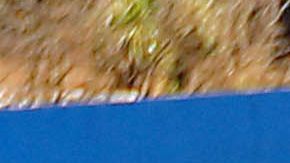 Aldo Leao saluda a Billy Álvarez (c), uno de los protagonistas del documental.