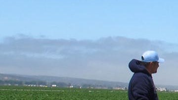 Inmigrantes mexicanos en los campos de cultivo estadounidenses