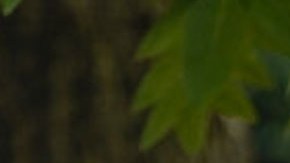 Ivanka Trump, hija del presidente de Estados Unidos