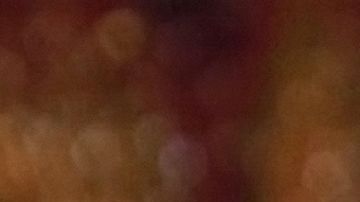 Jaime Camil Britney Spears