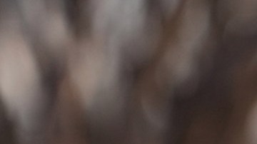 James Talarico, candidato al Senado por Texas