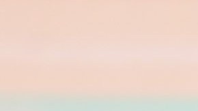 Marcelo Ebrard, secretario de Economía de México