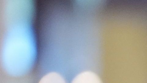 Melania Trump rechazó los informes sobre cualquier conexión que pudiera haber tenido con Jeffrey Epstein.