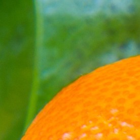 El consumo diario de naranja puede modificar el perfil lipídico de los pacientes con hígado graso