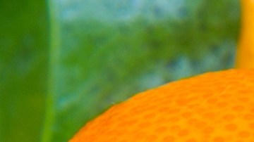 El consumo diario de naranja puede modificar el perfil lipídico de los pacientes con hígado graso