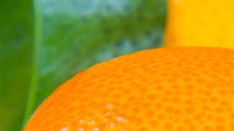 El consumo diario de naranja puede modificar el perfil lipídico de los pacientes con hígado graso