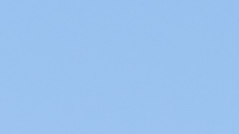 Oracle anuncia el despido de miles de empleados mientras asegura su inversión en la IA