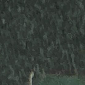 César Chávez, acoso sexual