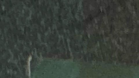 César Chávez, acoso sexual