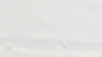 Joe Aguilar, Erasmo Reyes y Roberto Luca, cofundadores de RAMP L.A.