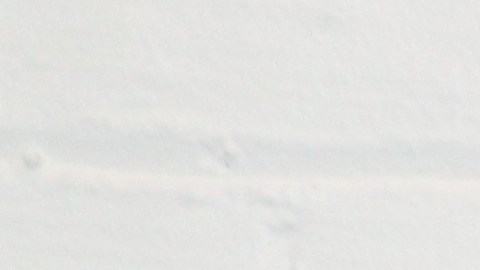 Joe Aguilar, Erasmo Reyes y Roberto Luca, cofundadores de RAMP L.A.