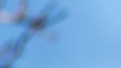 Pagos de alquileres en EE.UU. está creciendo a un ritmo más lento, según informe de Zillow