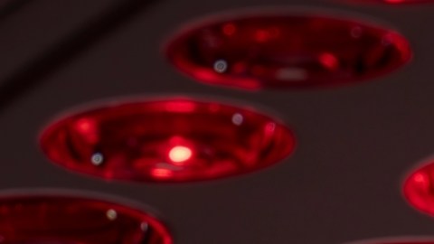 ¿Otras falacias proferidas por influencers? Mitos y realidades de la terapia con luz roja en la salud dermatológica