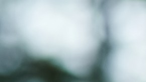 El matrimonio podría estar relacionado con un menor riesgo de cáncer: te lo explicamos