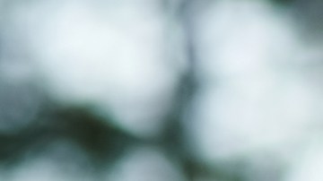 El matrimonio podría estar relacionado con un menor riesgo de cáncer: te lo explicamos