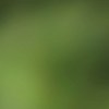¿Por qué sentimos hormigueo en las extremidades?