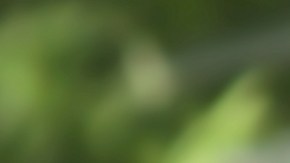 ¿Por qué sentimos hormigueo en las extremidades?