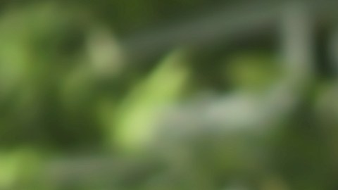 ¿Por qué sentimos hormigueo en las extremidades?