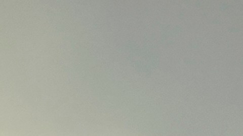 Día de Peso Pluma