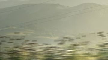 Porsche Cayenne Coupe electric