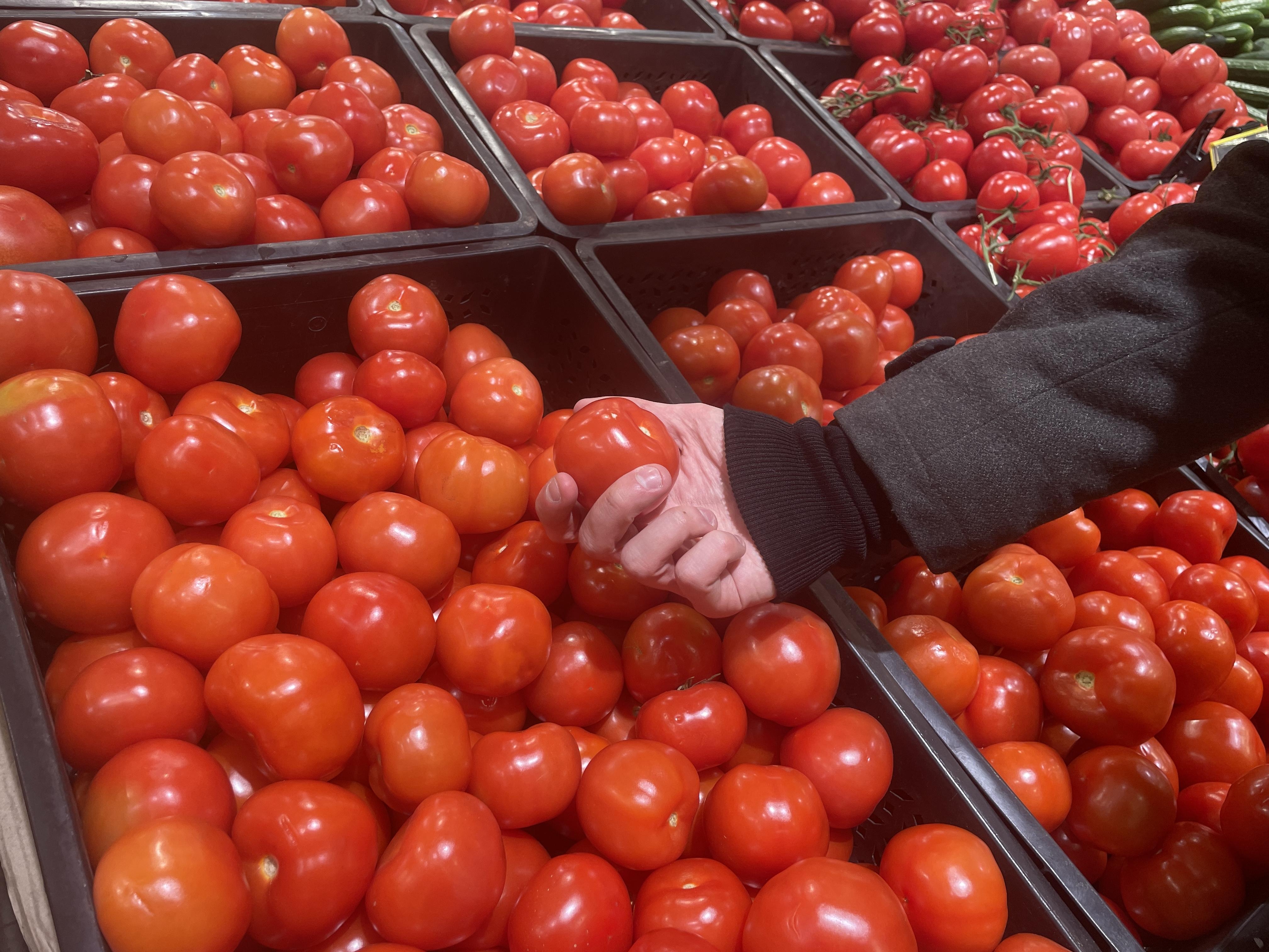 Precio del tomate en Estados Unidos aumentó un 32% en mayo