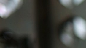 Producción manufacturera en EE.UU. disminuyó un 0.1% en marzo