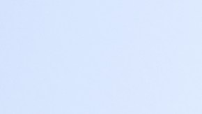 ¿Ansiedad interesada?: FDA acelera la revisión de tres fármacos psicodélicos