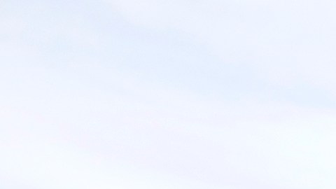 Retiro de camas de Costco