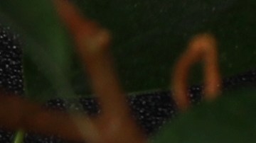 Los router dual band se han convertido en el estandar de la industria al ofrecer un excelente desempeño a bajo costo