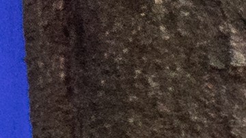 Anne Hathaway Meryl Streep