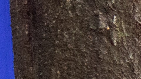 Anne Hathaway Meryl Streep