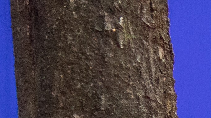 Anne Hathaway Meryl Streep