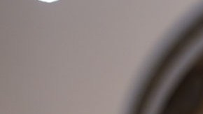 Tim Burchett, representante por Tennessee