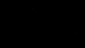 Tim Cook durante un evento público de Apple