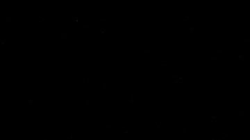 Tim Cook durante un evento público de Apple