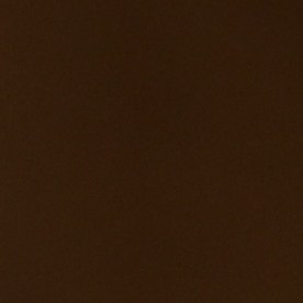 Lyons dejará su cargo en medio de las fuertes críticas hacia las operaciones migratorias en la era Trump.