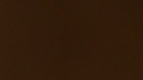 Lyons dejará su cargo en medio de las fuertes críticas hacia las operaciones migratorias en la era Trump.